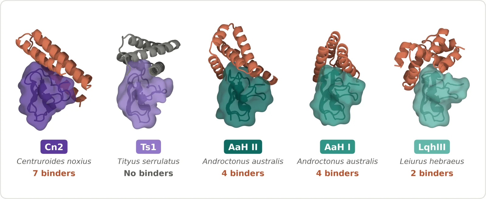 Lab binding measurements for Claude-designed protein binders against scorpion toxins